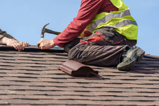 Roof Gutter Cleaning in Camden, TN