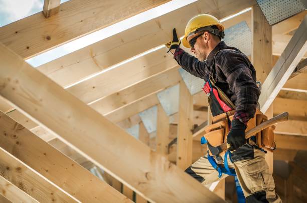 Best Roof Gutter Cleaning  in Camden, TN
