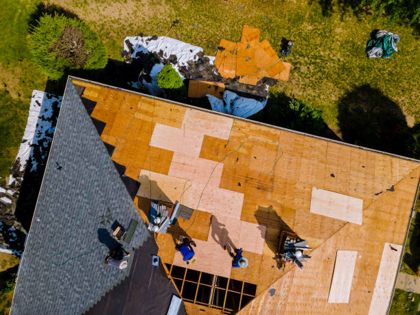 Best Roof Gutter Cleaning  in Camden, TN