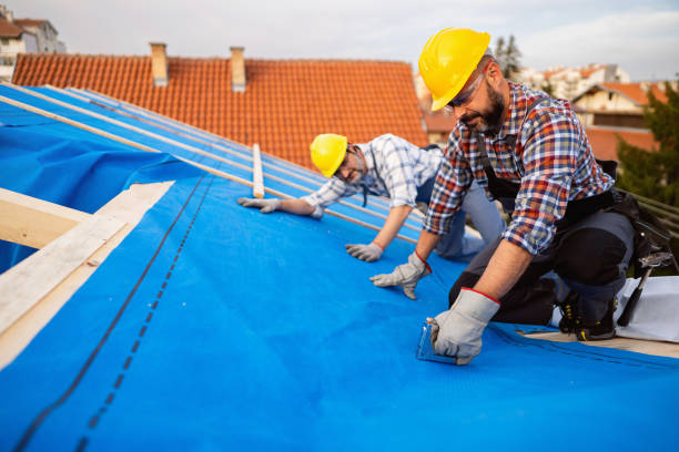 Best Roof Maintenance Services  in Camden, TN