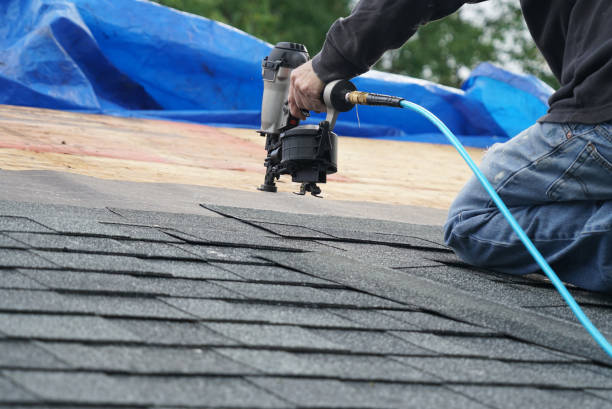 Best Roof Gutter Cleaning  in Camden, TN