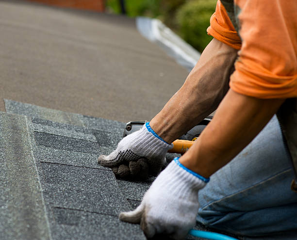 Residential Roof Replacement in Camden, TN